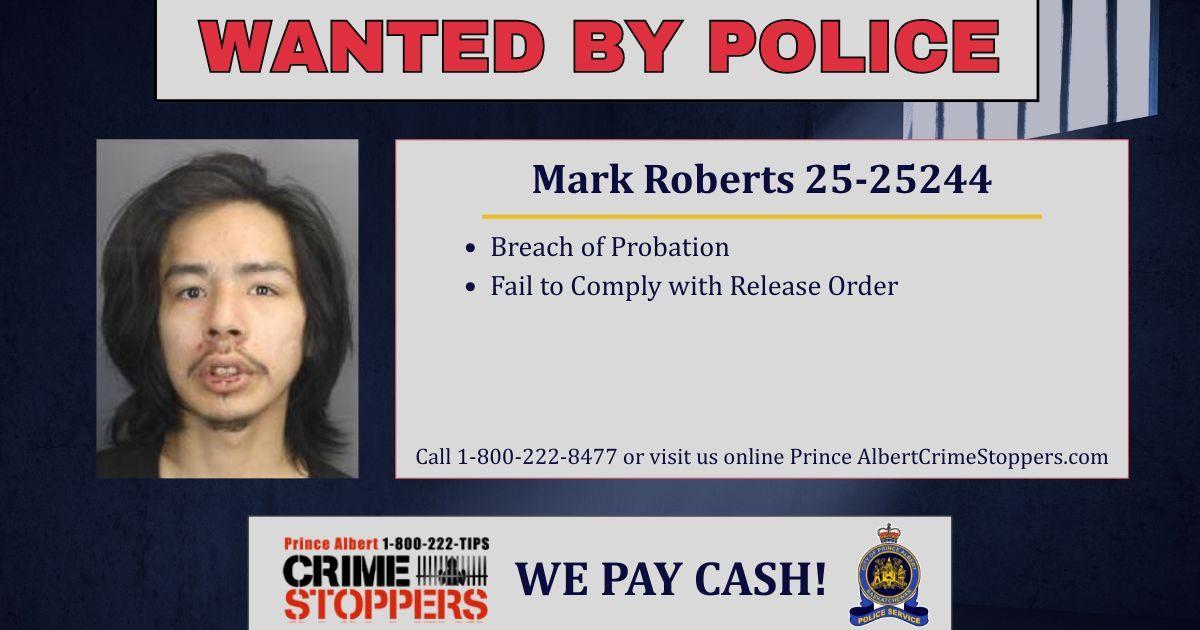 Mark Roberts