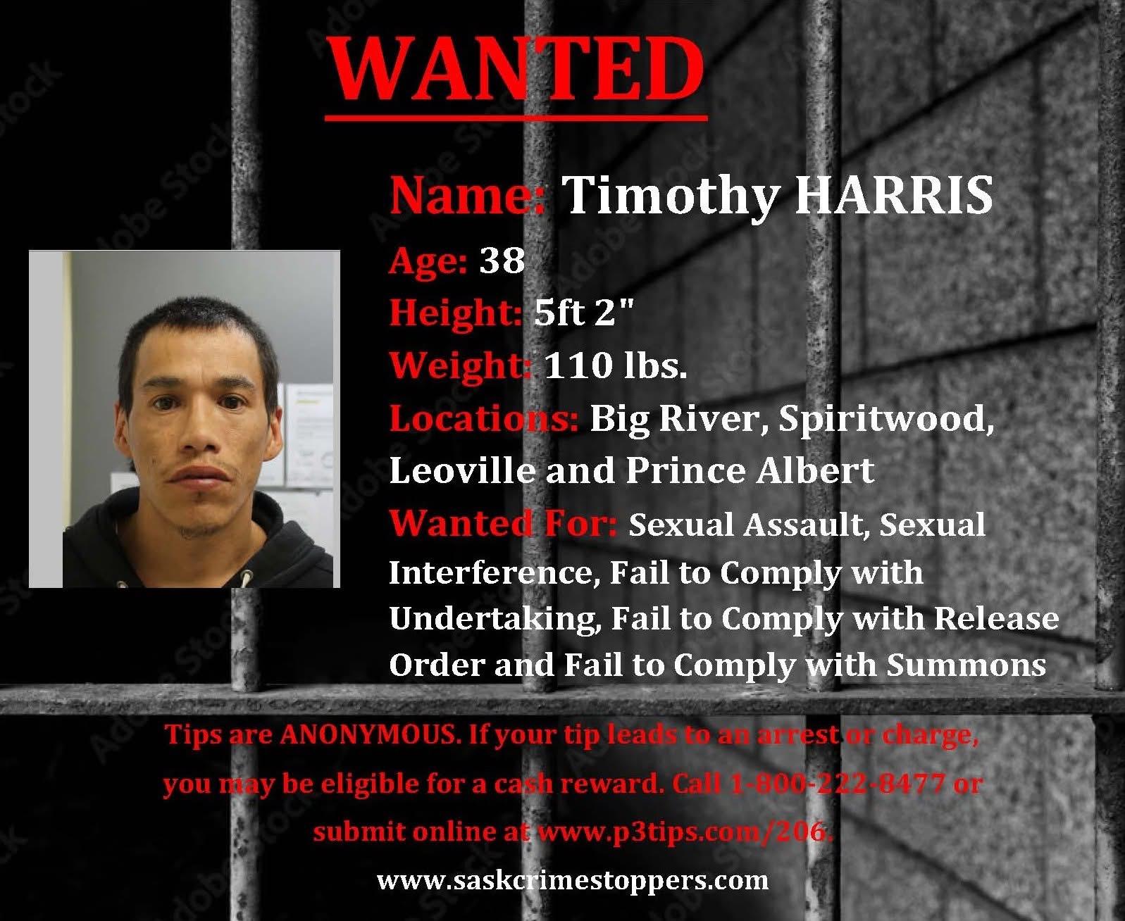 Timothy Harris 2