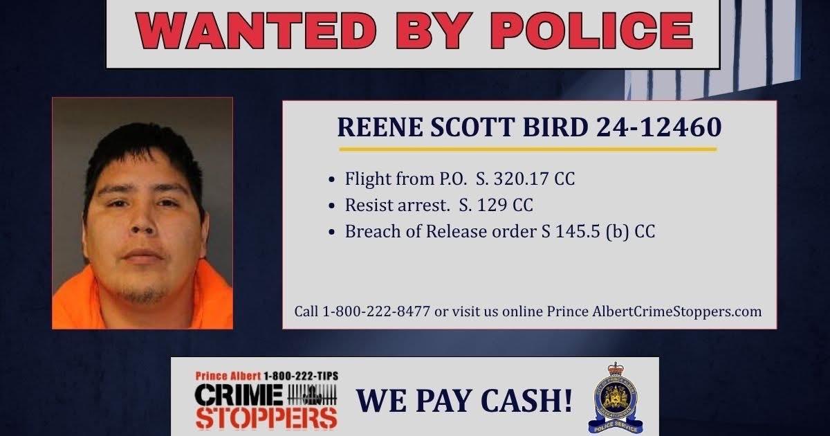 Reene Scott Bird